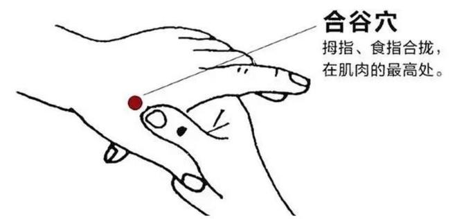 &#20061;&#28216;&#24179;&#21488;&#45;&#20061;&#28216;&#40;&#20013;&#22269;&#41;&#19968;&#31449;&#24335;&#26381;&#21153;&#24179;&#21488;